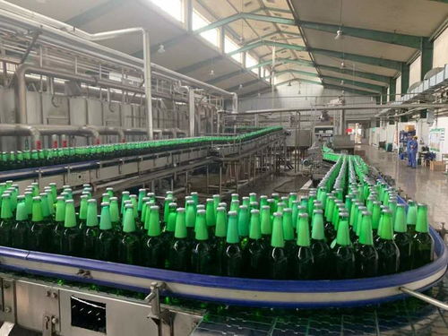 一表集成、自動計算 上海17稅費種綜合申報賦能企業智慧辦稅